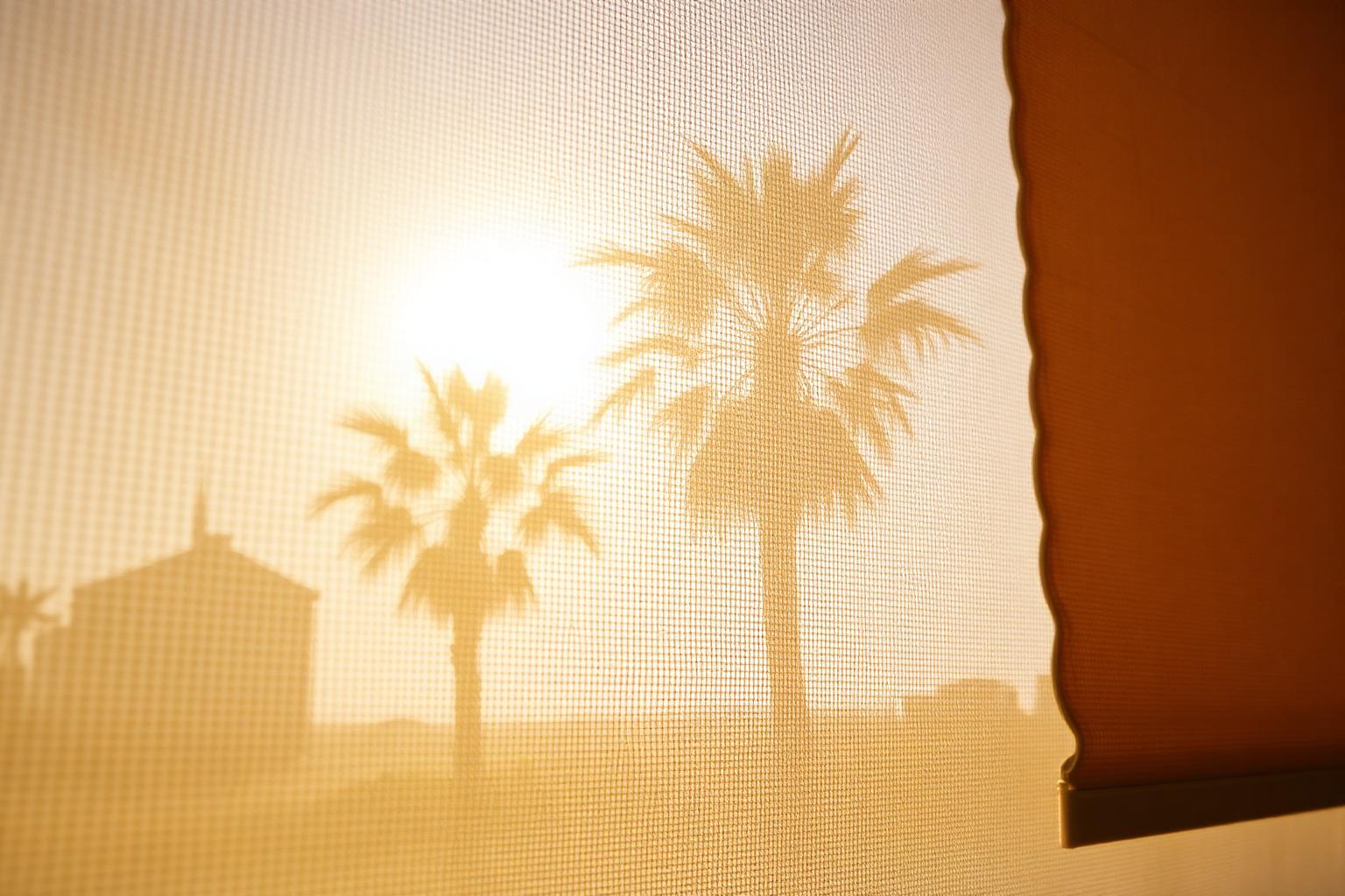 Macro of backlit solar shade fabric with palm silhouettes through the weave and a honeycomb cellular edge